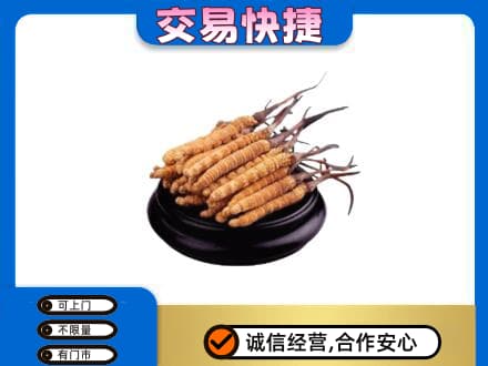 桂林市恭城礼品回收散虫草.jpg